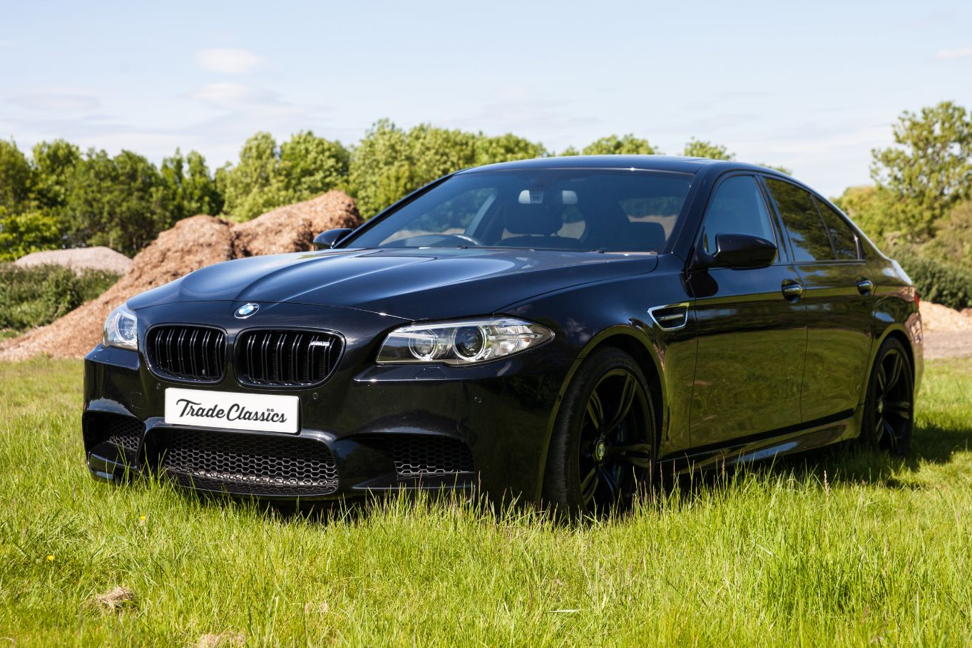 2015 BMW M5 (F10)