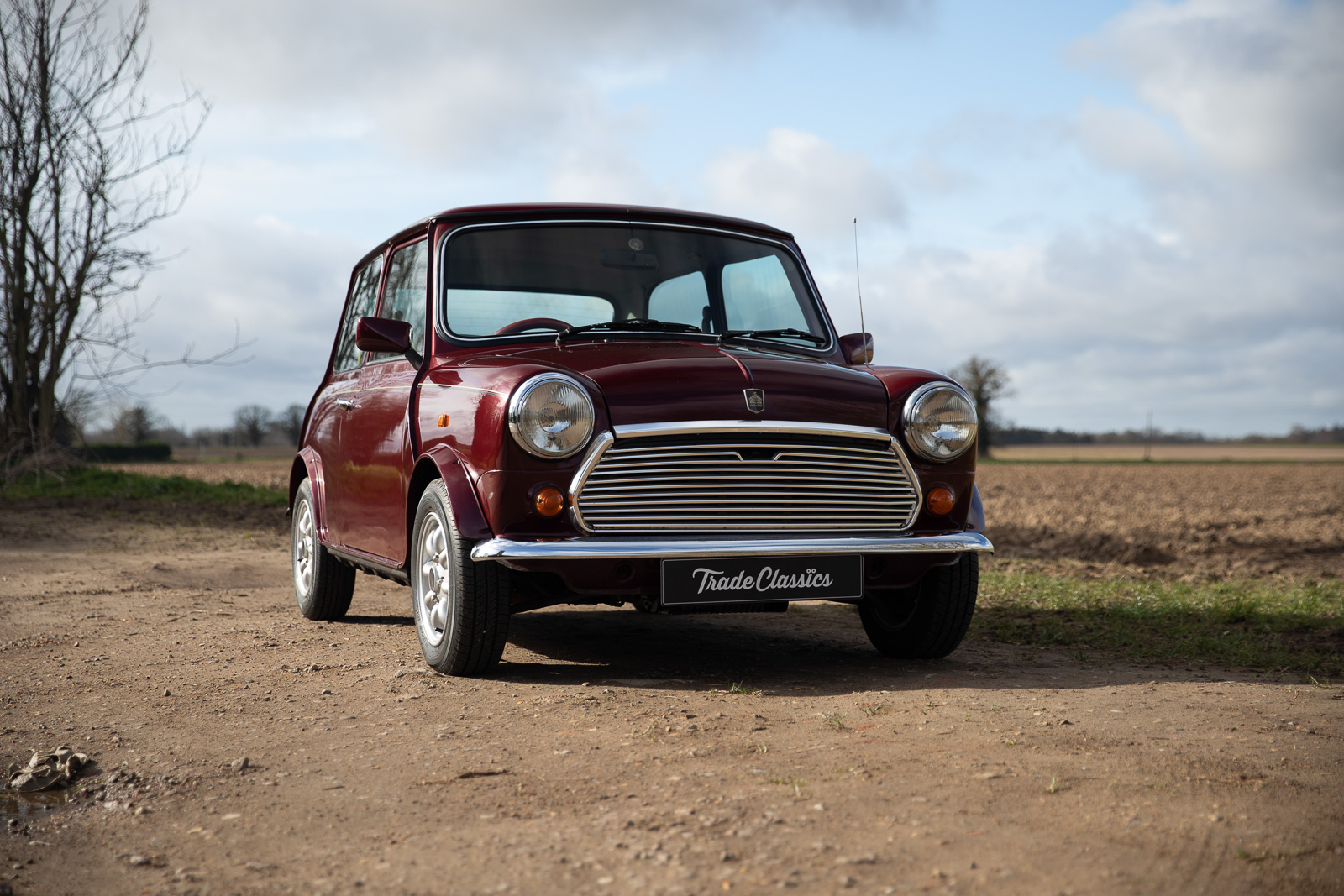 1989 Rover Mini 30th Anniversary |