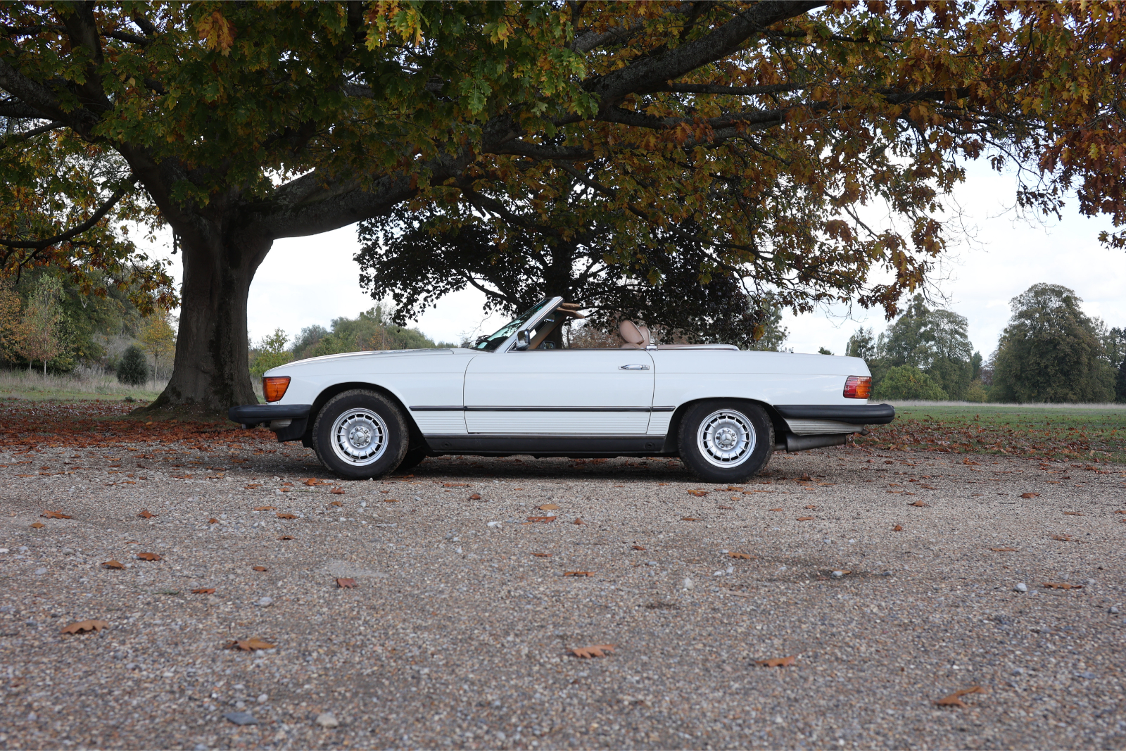 Photo 4 of 12 of 1983 Mercedes-Benz 380 SL (R107)